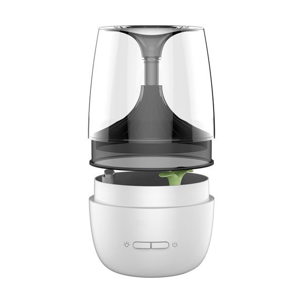 Champignon Humidifier PSCH-01 - Image 2